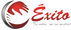 Exito Logo Exito