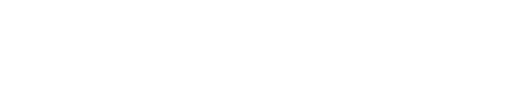 Logo solintels
